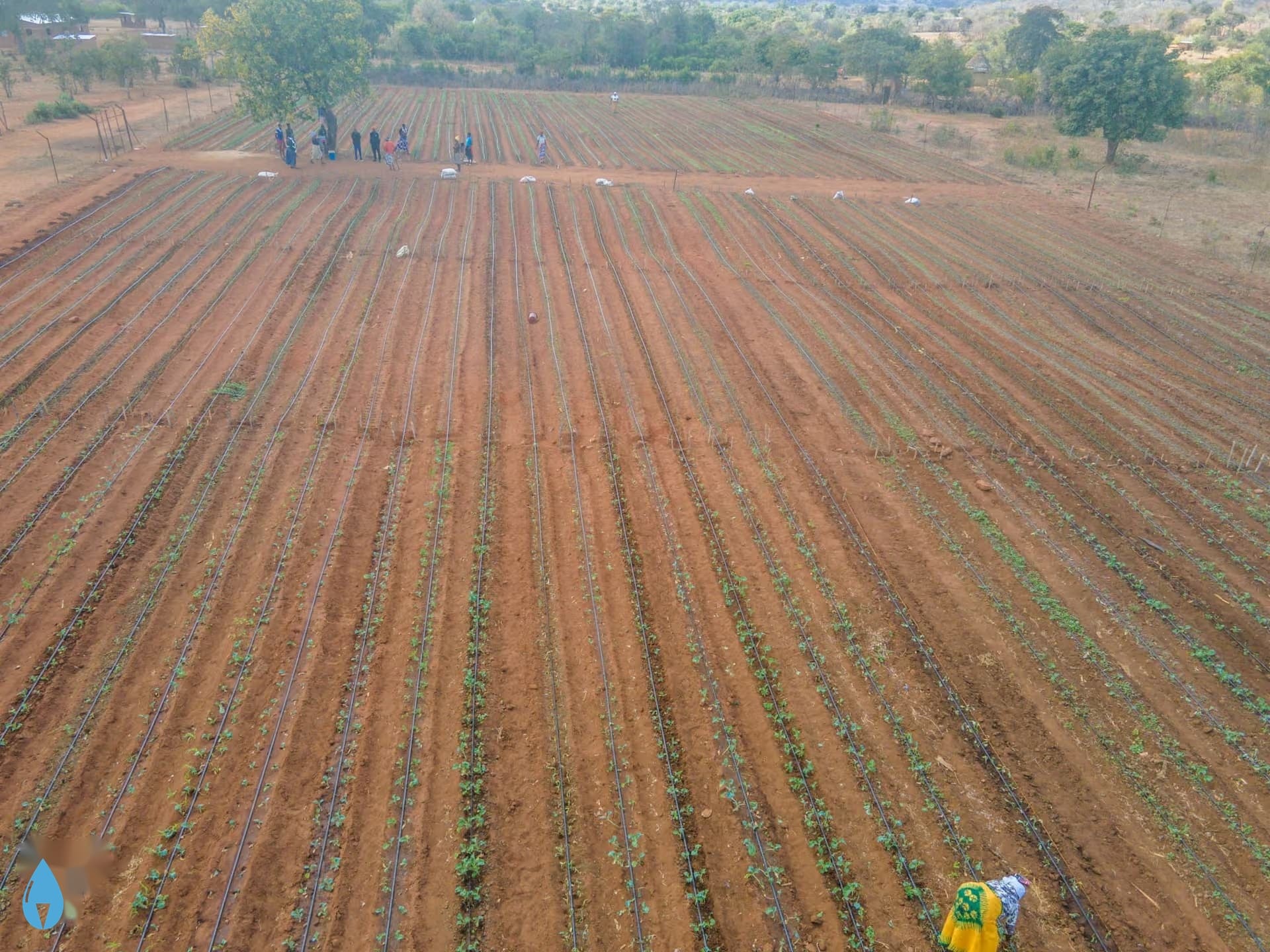 Irrigation Systems
